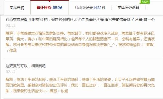 让你的文案咆哮起来：除了宝贝海报图，文案大战让网页一切地方都是向买家传递信息的最佳窗口 ... ...