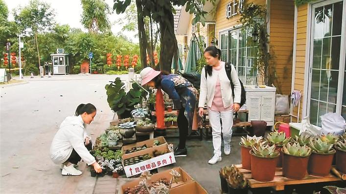 老板回老家过年，深圳无人花店悉数收到账款花卉无一丢失