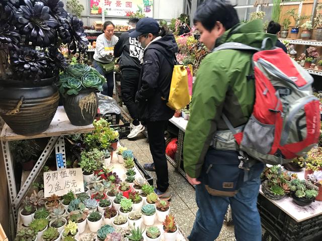 莱太花卉市场将闭市改造，升级后花卉家居业态仍保留