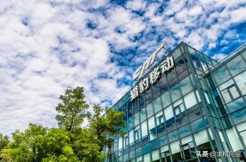 侵入操作广告扰民谷歌彻底封杀雷军旗下猎豹移动用词罕见