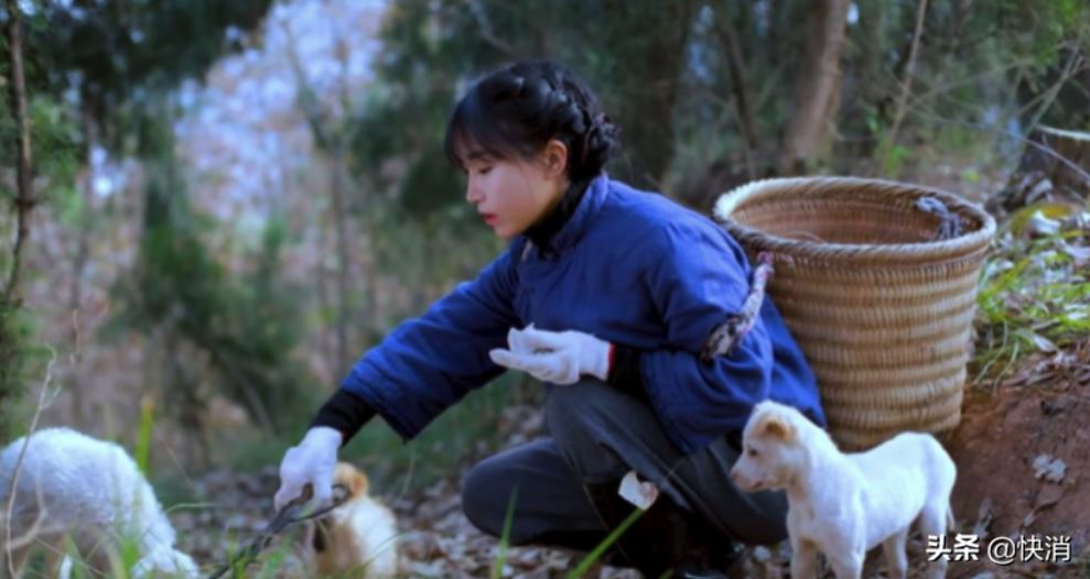 网红李子柒的坚守执着，是传统企业羡慕又学不会的套路