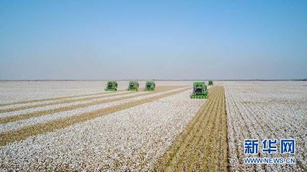 供销集团：加快形成新疆棉及其制品的地理标志品牌认知