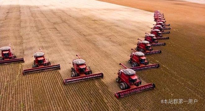 中美大豆战争：四大粮商合伙做空中国不料兵败中储粮