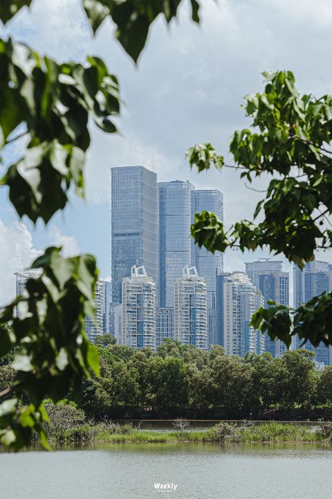 远去的销冠：卖了12年豪宅，从年入百万到“入不敷出”