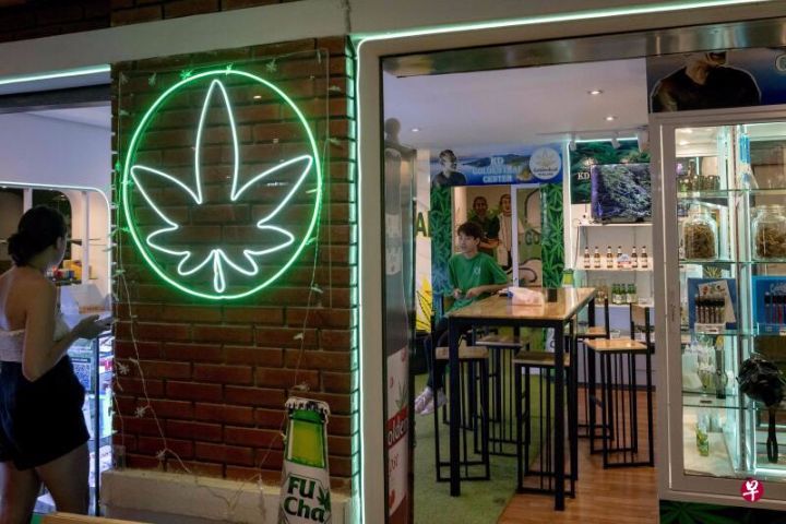 受害者是泰国人民自身，泰国大麻销售点激增值得关注
