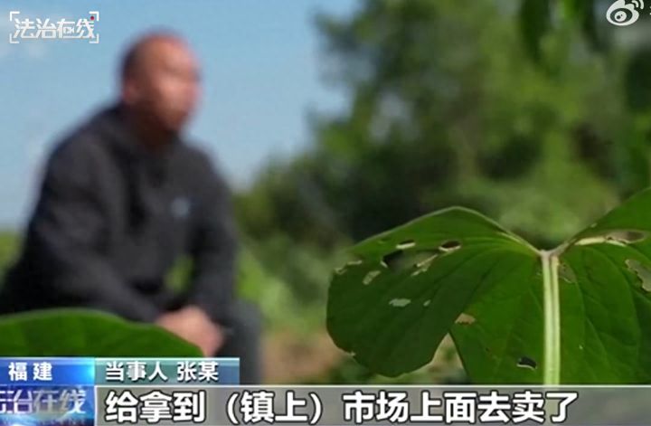 帮邻居卖芹菜赚14元却惨遭10万罚款，处罚过重还是应得其报？这事敲响警钟违规代价沉重 ... ...