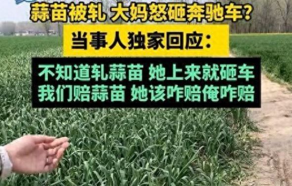 损害蒜苗非蓄意损坏轿车属恶意，蒜苗三五块修车三五万蒜苗被压大妈怒砸奔驰冲动代价高 ...