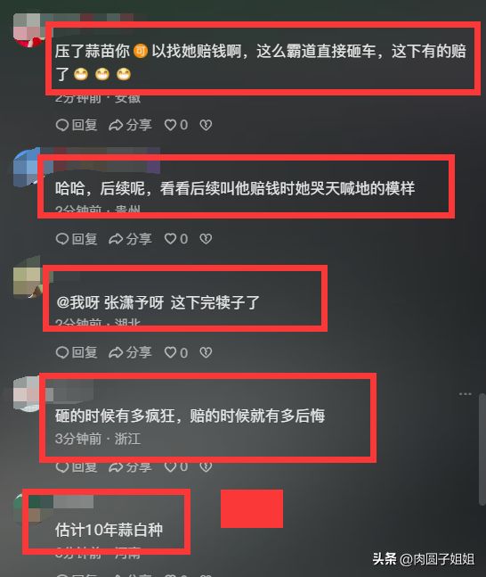 损害蒜苗非蓄意损坏轿车属恶意，蒜苗三五块修车三五万蒜苗被压大妈怒砸奔驰冲动代价高 ...