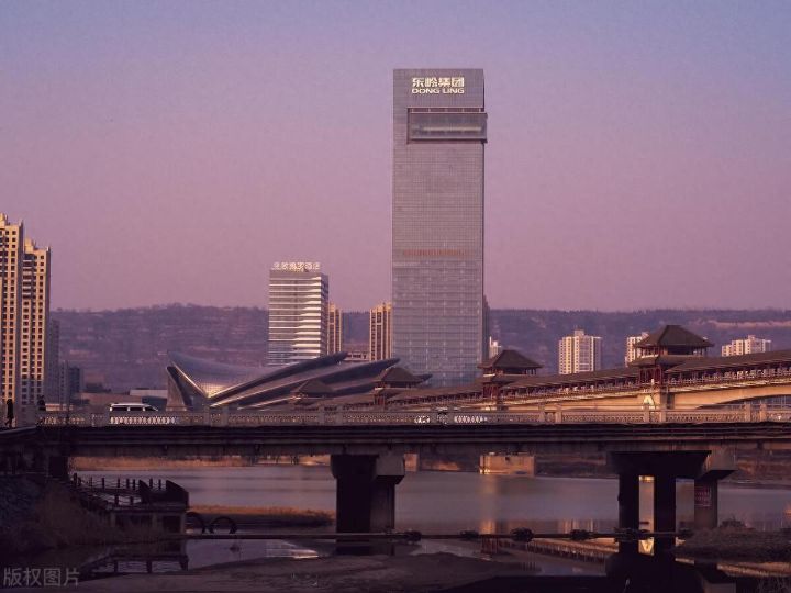 曾经中国建筑钢材销量第一的企业东岭集团的陨落与反思：过度扩张、管理不善、市场变化 ...