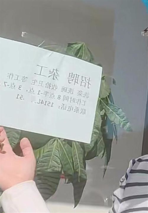 商户贴A4纸大招聘信息被相关职能部门要求罚款，乌兰浩特城管执法局：未罚款仅口头教育 ...
