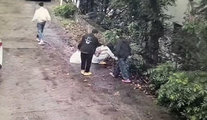 游客在连云港一景区“捡板栗壳”被指盗窃？景区：系商户个人行为，已协商处理 ...