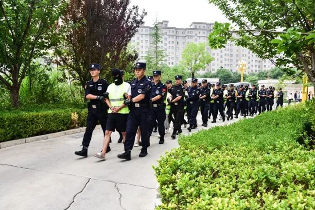 一个以科技公司为掩护非法购买骗取公民个人信息，抓获犯罪嫌疑人25名网警斩断侵公黑色产业链 ...