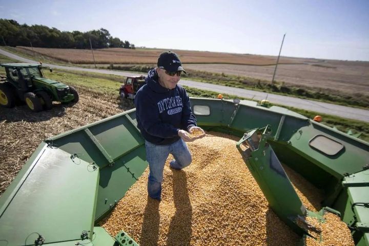 中国停止对美大豆采购，商务部回应话里有话：农产品贸易是磋商成果之一