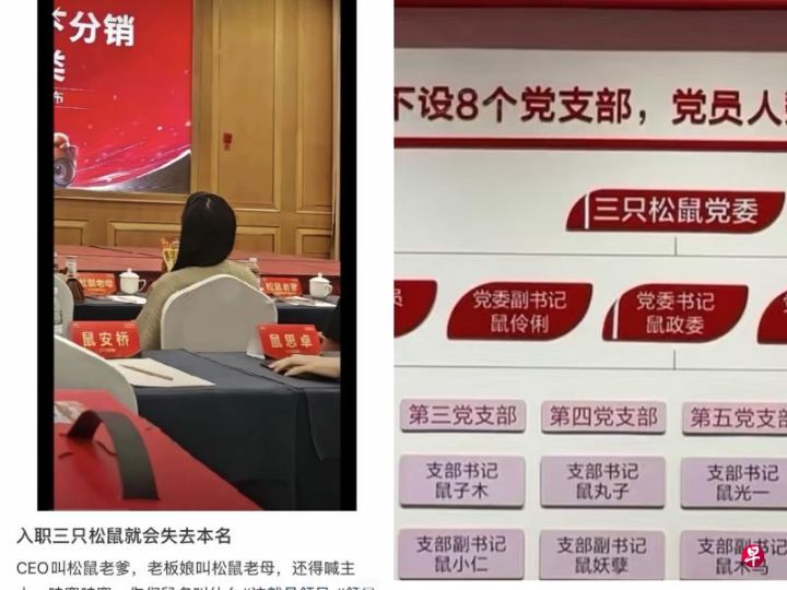 员工不取鼠名没法入职鼠名文化引争议，入职三只松鼠需改成带鼠某某涉嫌矮化员工被批评 ...