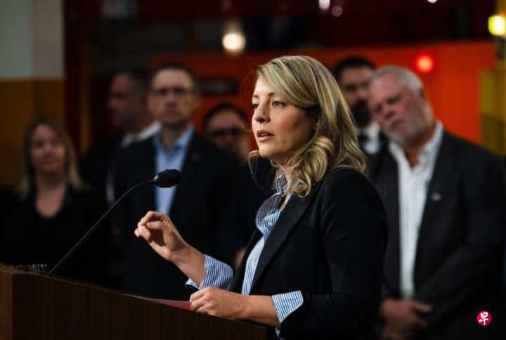 加拿大官方：共同开发的电动车仍具备全球竞争力，中加合资设厂造车销往全球 ...